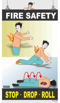 039 - Fire Safety, 66 cm x 36 cm, UV Printed 039 - Fire Safety, 66 cm x 36 cm, UV Printed